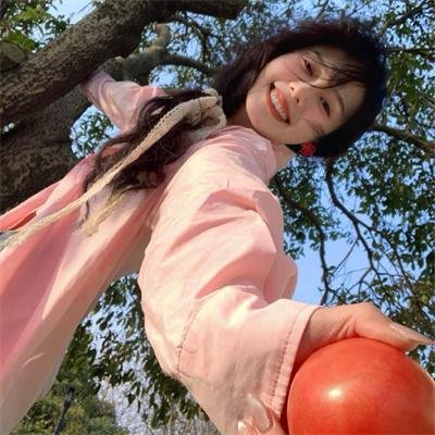 白鸥啊 不要飞起来